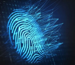 Citizen Biometric Verification – Limton Innovative Systems